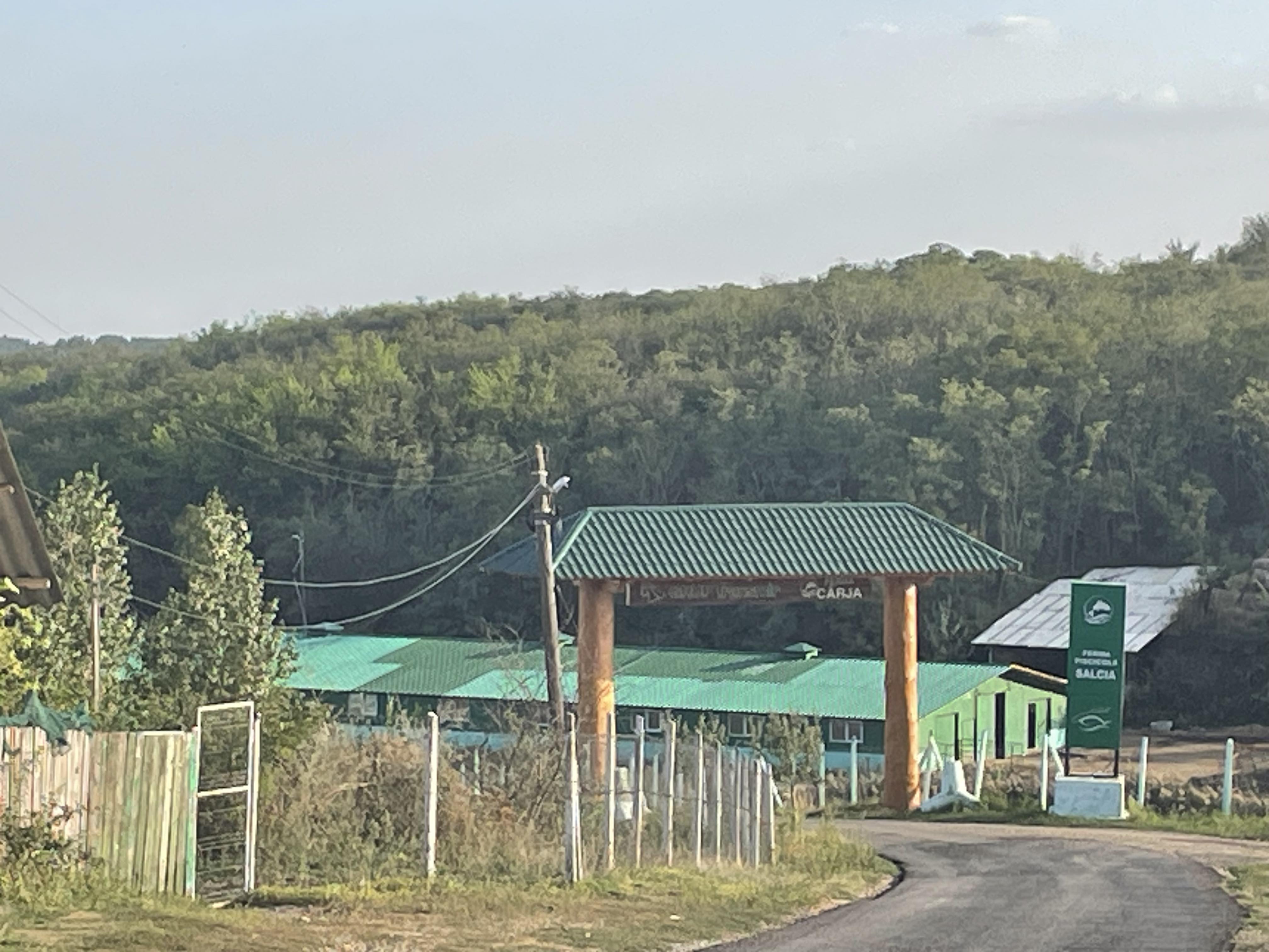 REPORTAJ PE BALTA CU BANI. Martorul care a surprins flagrantul DNA în cazul Buzatu: directorul economic de la DGASPC Vaslui „se tăvălea pe jos, mârâia, prefăcându-se că este beat”
