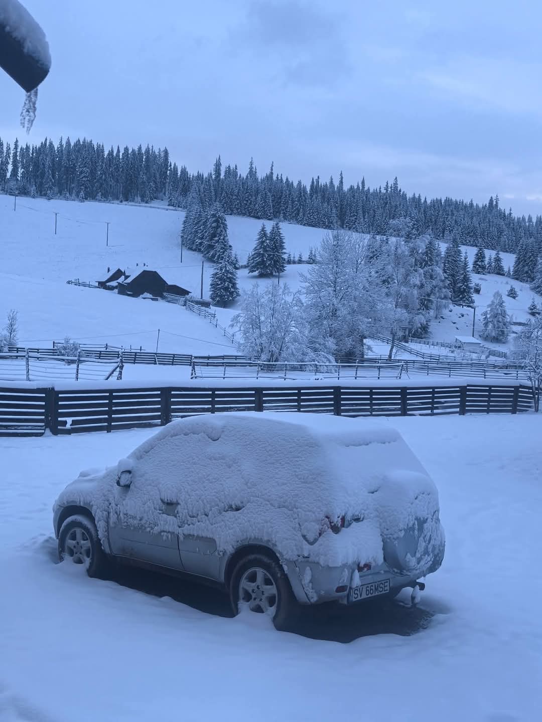 Ninge în mai multe județe din România. Meteorologii dezvăluie care este „singura parte bună” a ninsorilor din aprilie