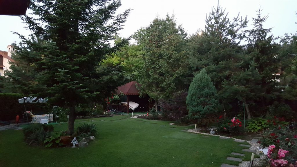 Cum arată casa Ancăi Turcașiu. Și-a amenenajat singură vila din Paradisul Verde | FOTO