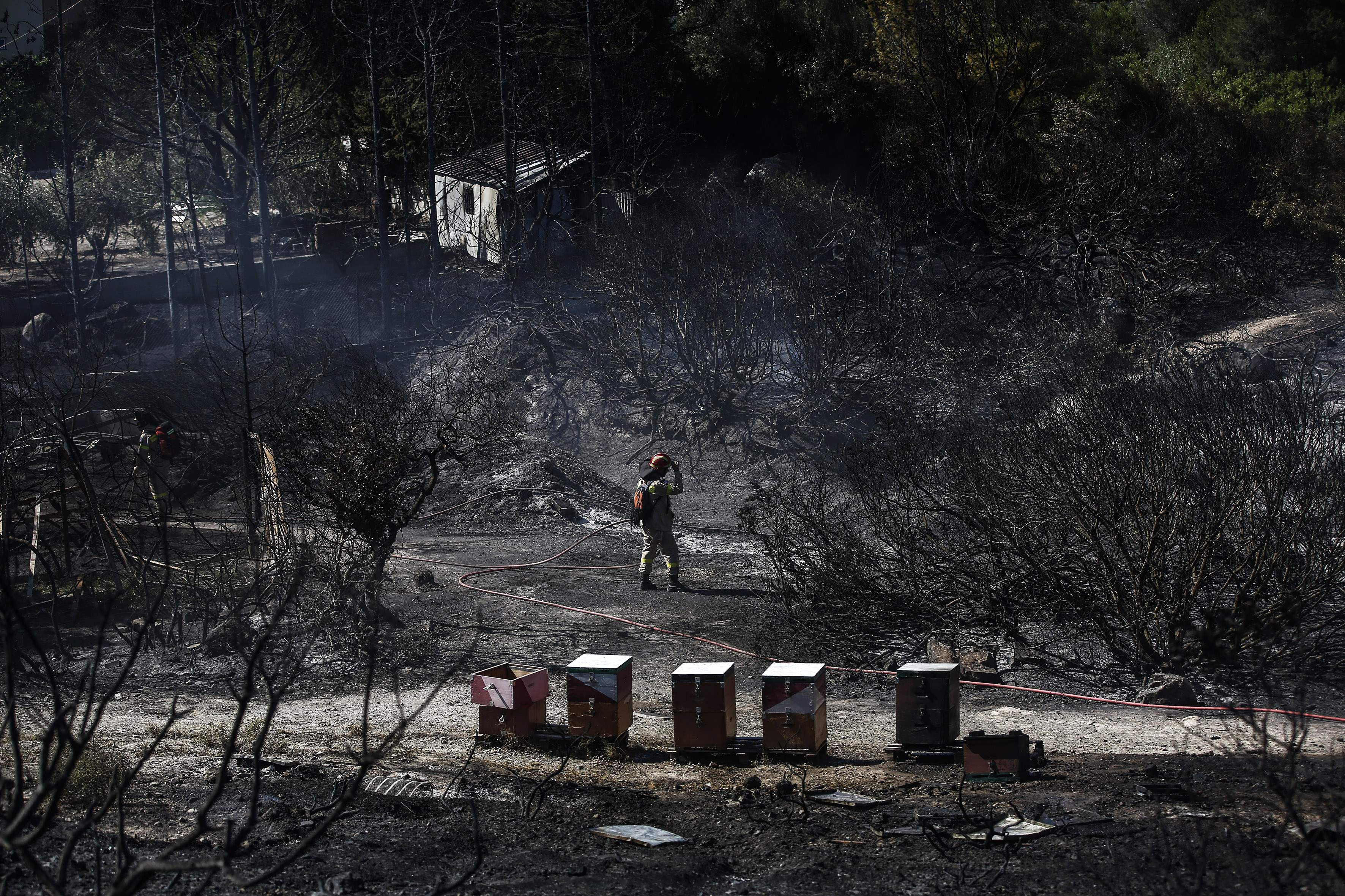 FOTO | Un incendiu puternic de vegetație a izbucnit în apropiere de Atena. Trei pompieri, răniți când se luptau cu flăcările