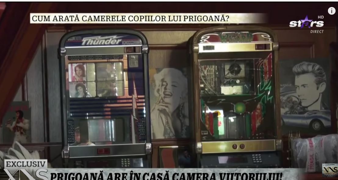 Imagini din casa lui Silviu Prigoană. Rar vezi așa ceva în România