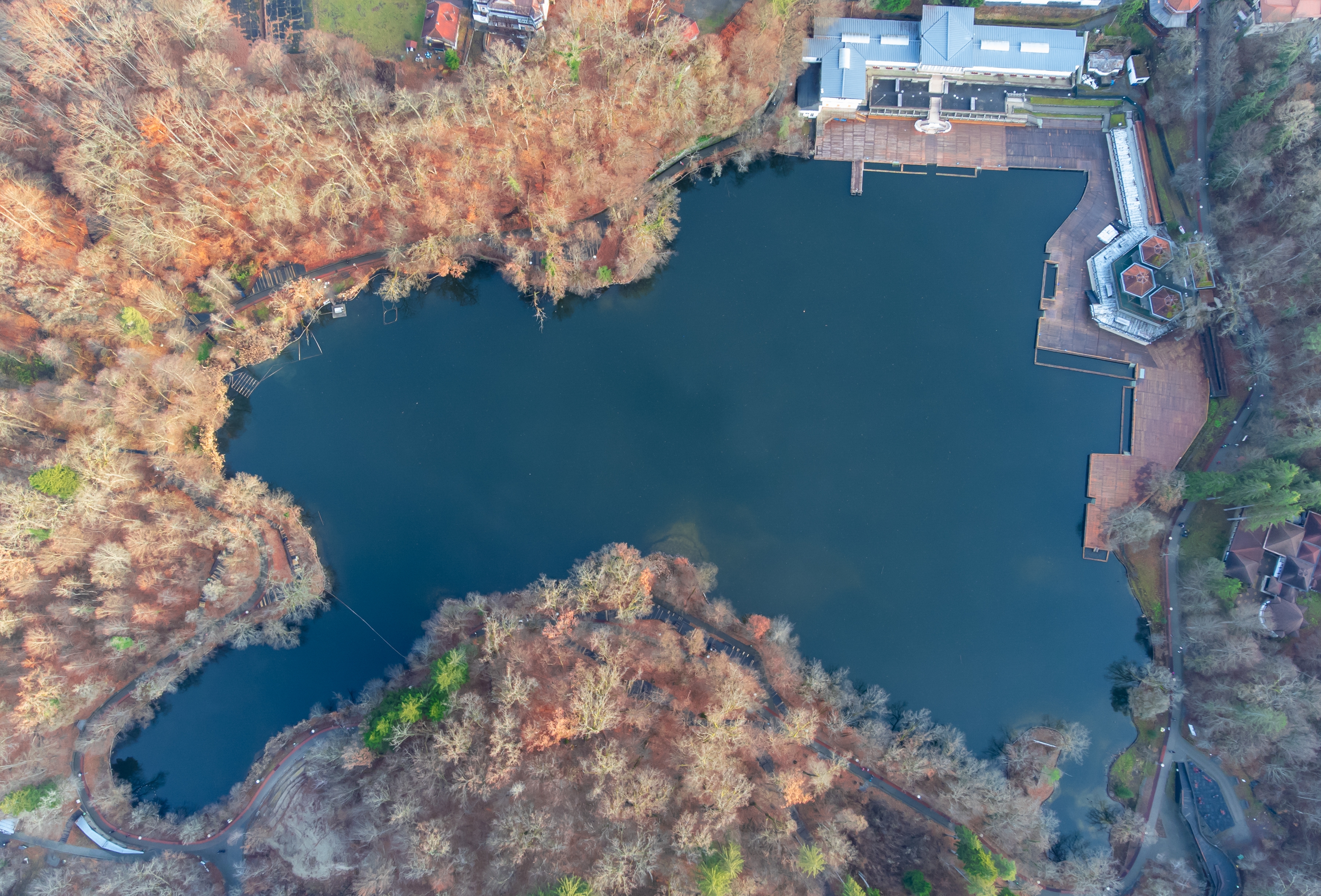 Lacul Ursu, unic în lume. De ce este deosebit și ce poți face în zonă