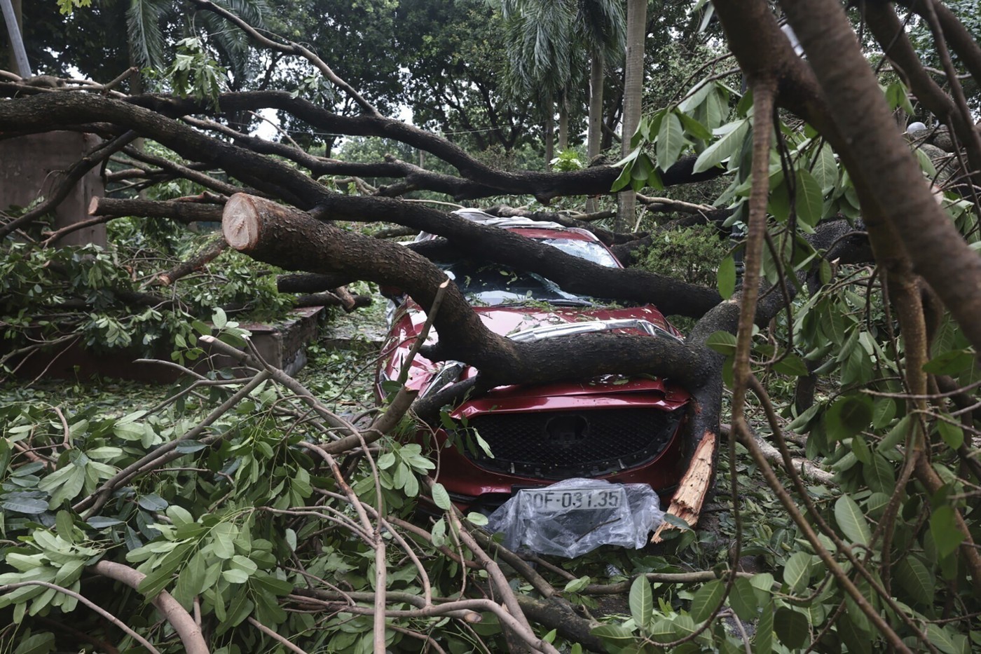 Nouă morţi în Vietnam în urma dezastrului provocat de taifunul Yagi