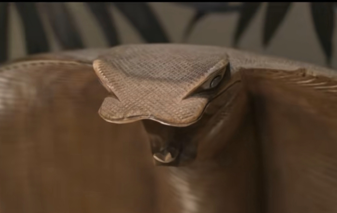 Imagini din casa Prințului Marco și a Biancăi Ghiurcă de la „Insula iubirii”. Ceas de perete Rolex, tapet Gucci și perne Hermès