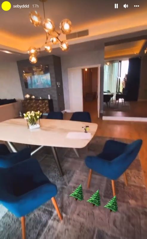 Sebastian Dobrincu, investitor la „Imperiul Leilor”, și-a luat casă de lux. Imagini din interiorul locuinței: „N-am primit de la nimeni 1 leu”