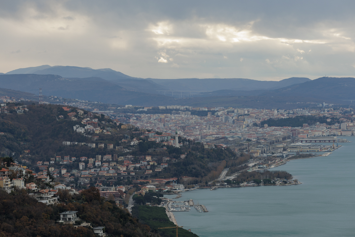 Povestea tinerei care a plecat în Italia la 15 ani din Gherţa Mare şi a ajuns antreprenoare, cu patru localuri şi o firmă de construcţii. „Mă simt liberă, am învățat că poți să începi oricând de la zero”