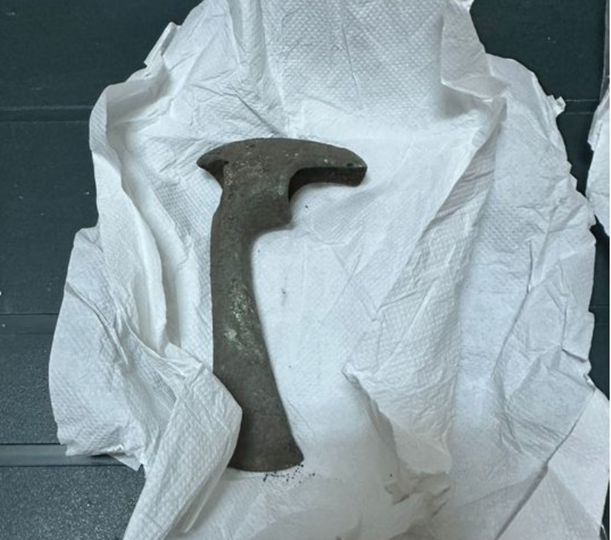 Trei coliere de aur de peste 300 de grame şi vechi de 3.000 de ani au fost descoperite în Prahova - FOTO