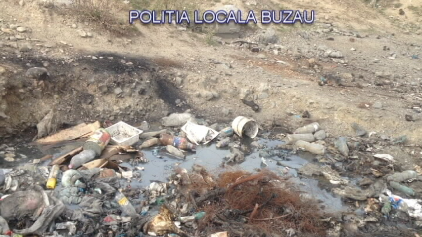 GALERIE FOTO| Descoperire macabră în Buzău. Un crescător de porci își hrănea animalele cu cadavre şi resturi animale