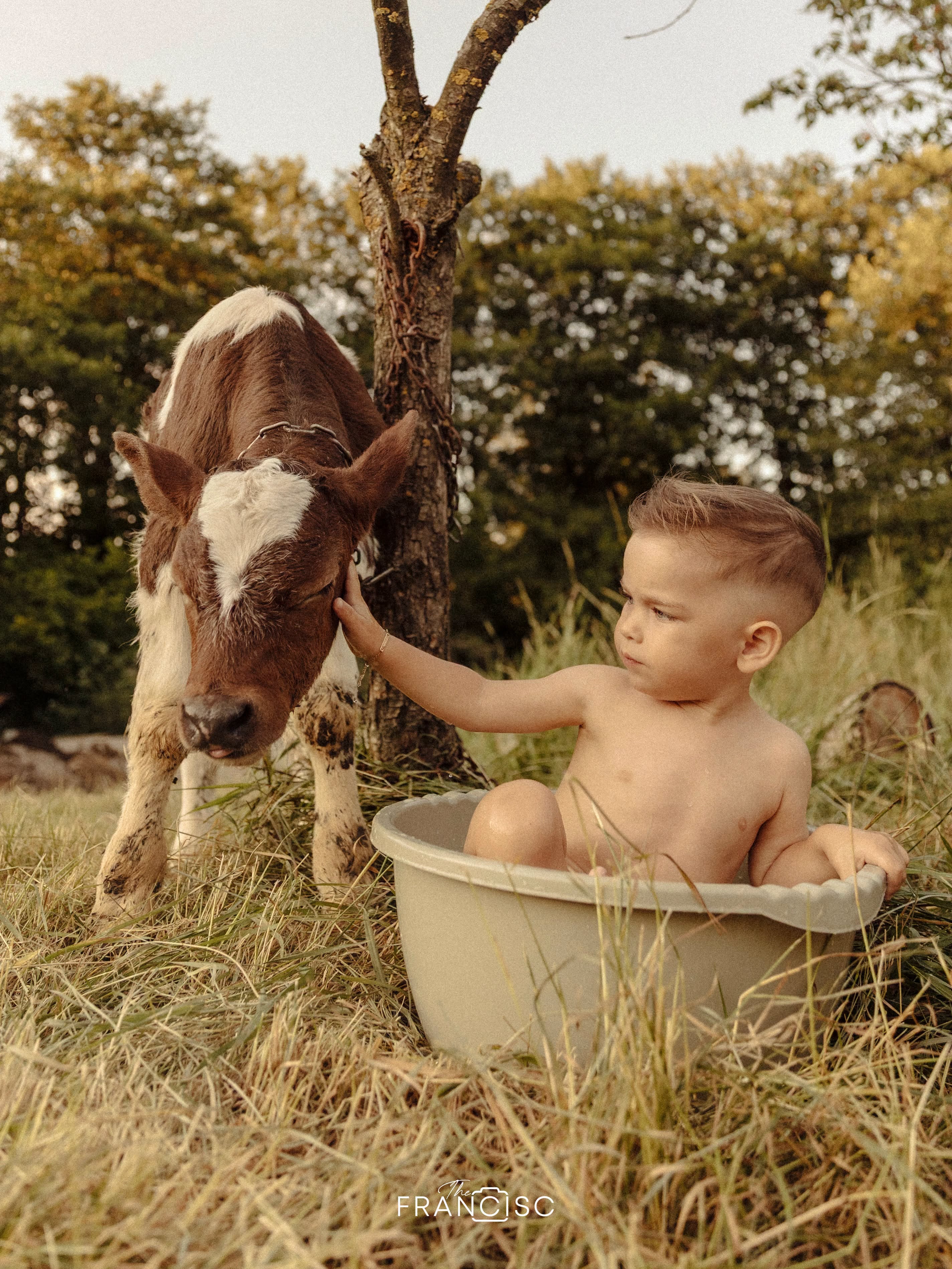 Imagini adorabile de la petrecerea fiului Vlăduței Lupău. Isaia a împlinit 2 ani, iar decorul a atras toate privirile