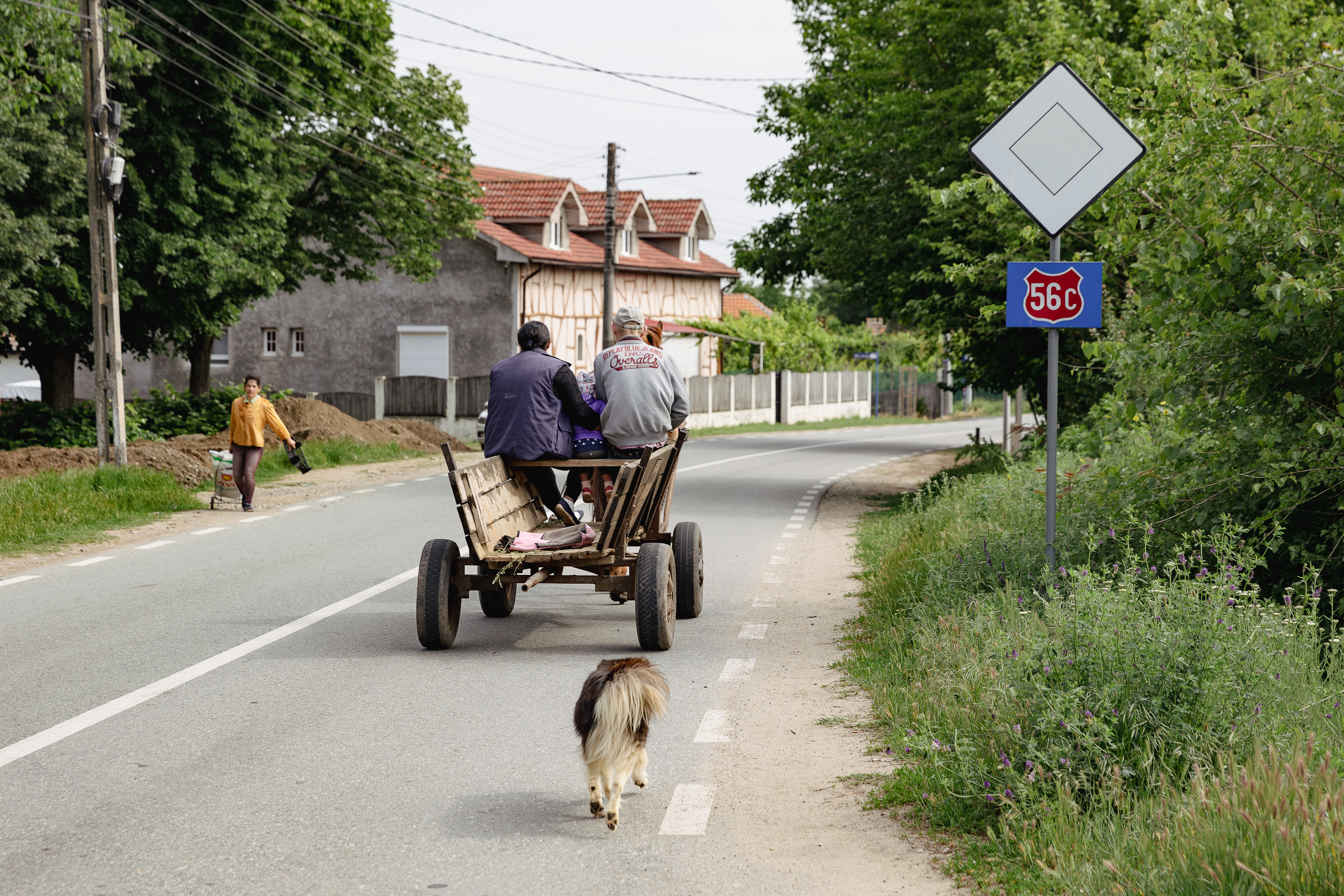 REPORTAJ | Pulsul campaniei în comuna din Mehedinți unde doi foști soți candidează la primărie: „Să mai conducă și muierile! Că poate mai țin și cu muierile! Că oamenii nu țin decât cu oamenii!”