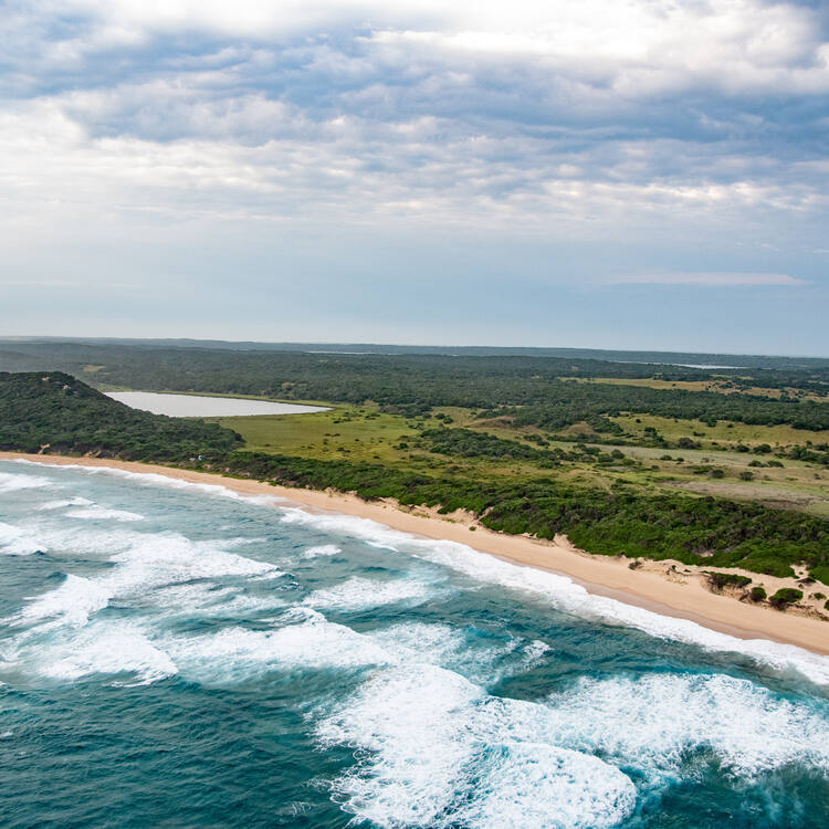 Mozambique: iSimangaliso Wetland Park-Maputo National Park