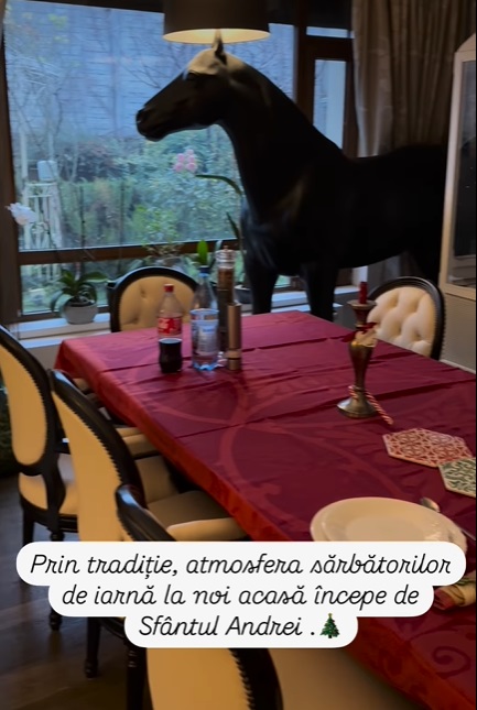 Imagini din casa Andreei Marin, decorată de Crăciun. În sufragerie are mai mulți brazi împodobiți, iar masa festivă e gata