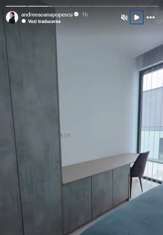 Noi imagini din penthouse-ul Andreei Popescu