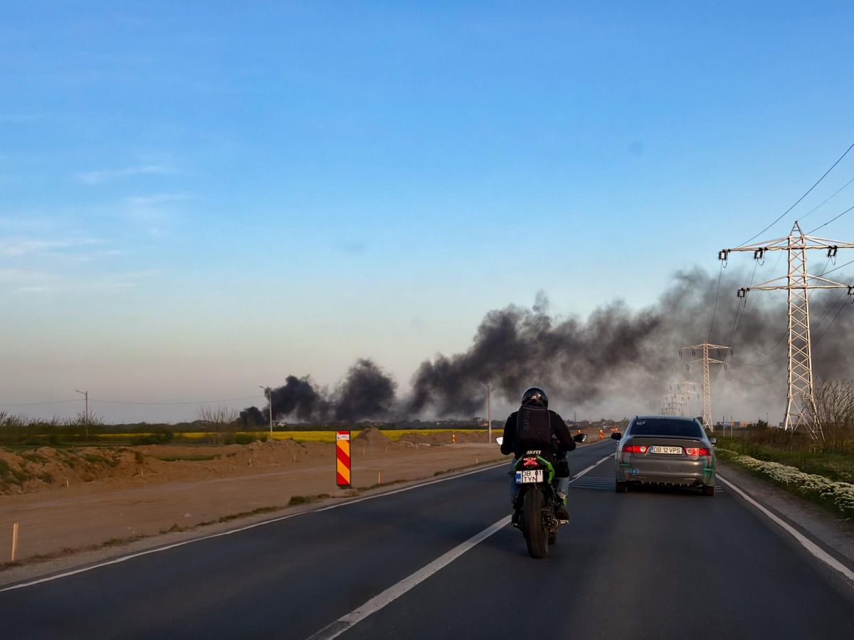 Poluare masivă într-o comună de lângă București: „Ard mereu cabluri aici că poliția nu vine duminica”