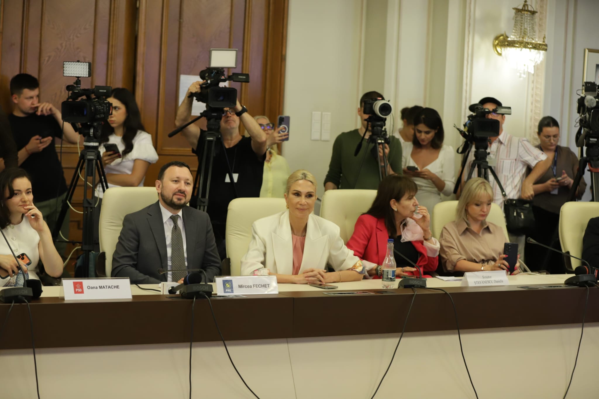 Guvernul Veștea a picat la votul din Parlament / Grindeanu: „Ne putem asuma un guvern minoritar”