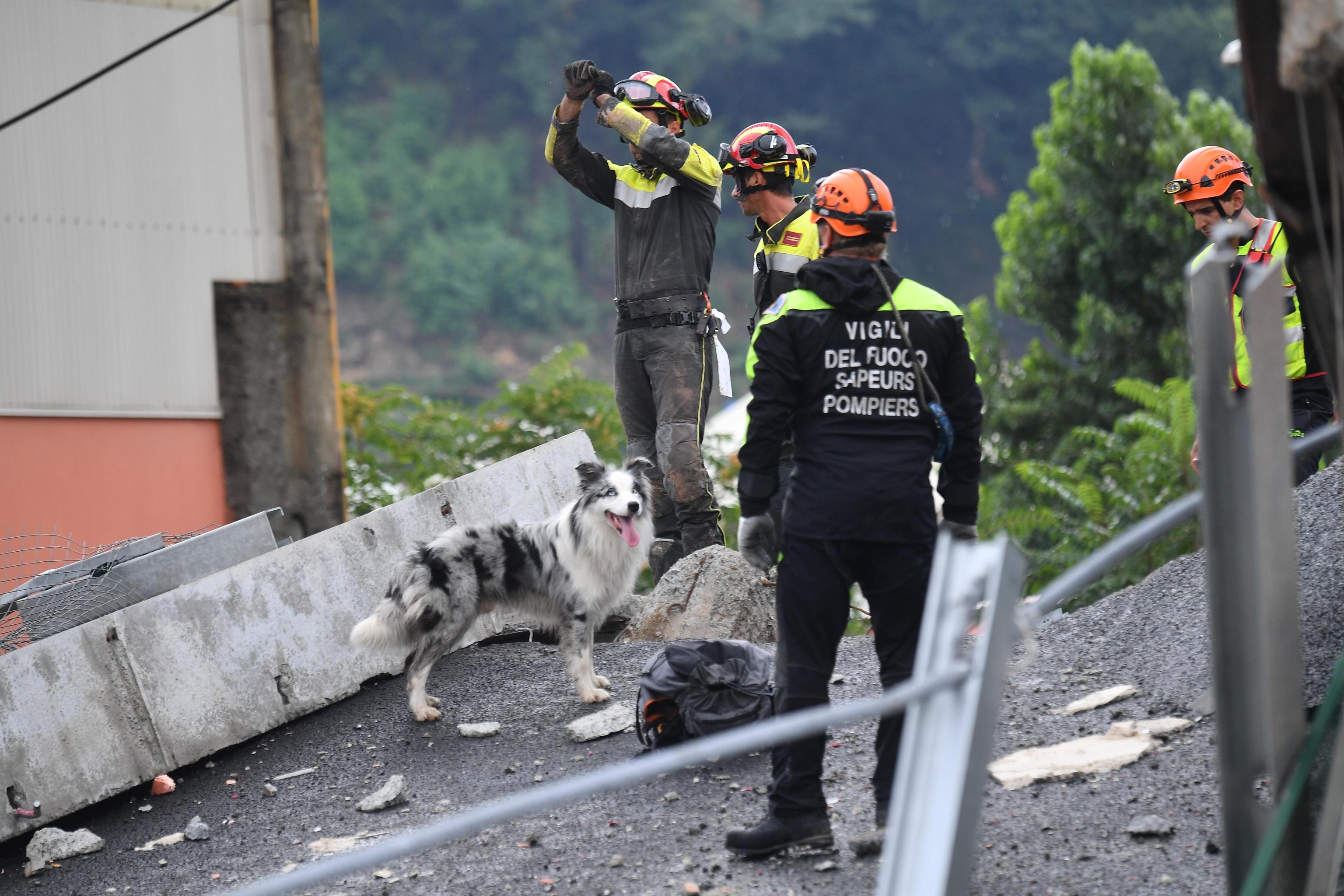 Cine este românul care a murit în tragedia de la Genova. Bărbatul lucra în Franța