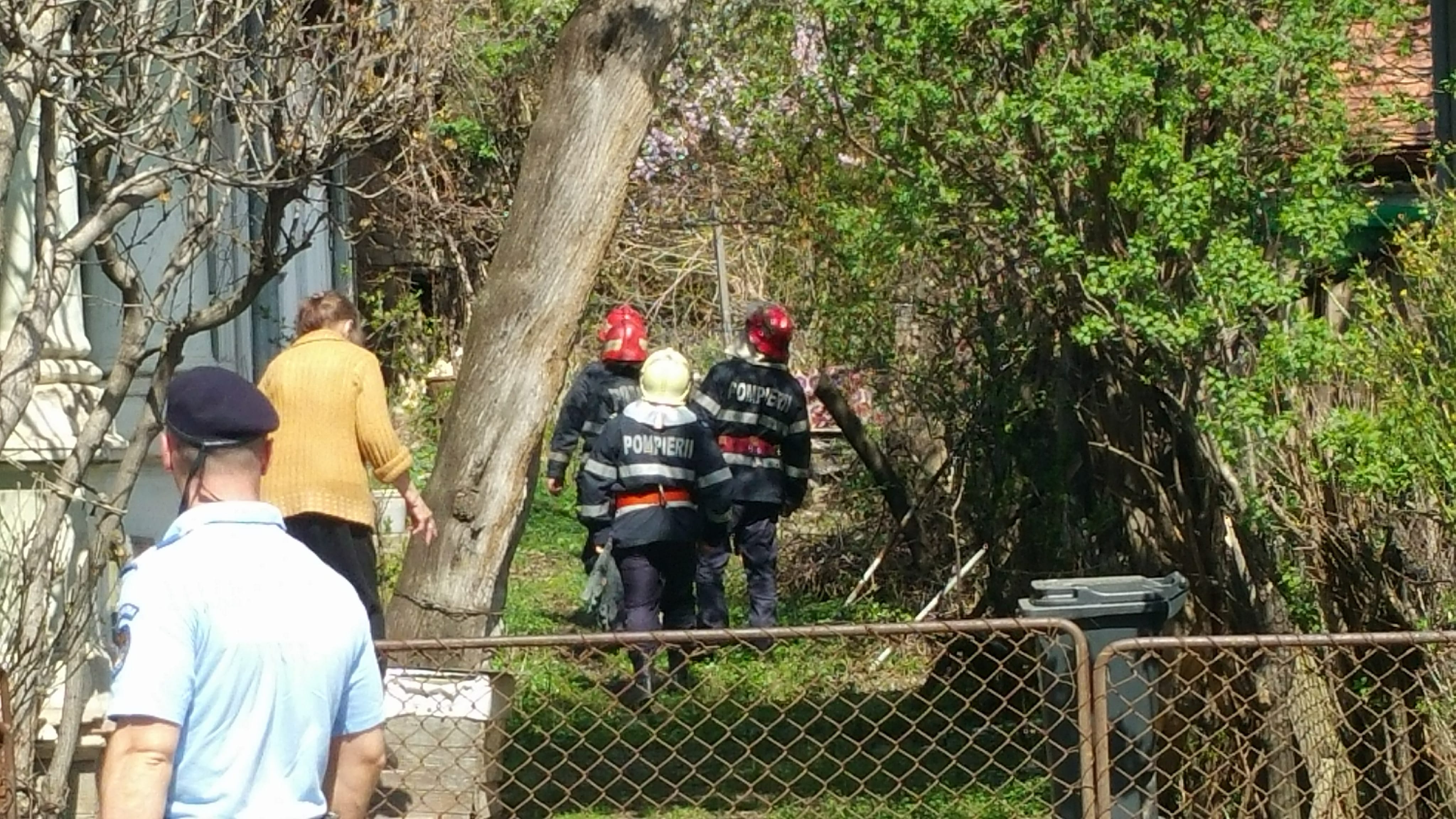 UPDATE: Maimuța care a evadat de la Zoo Neamț a fost prinsă. Macacul a fost tranchilizat / FOTO&VIDEO