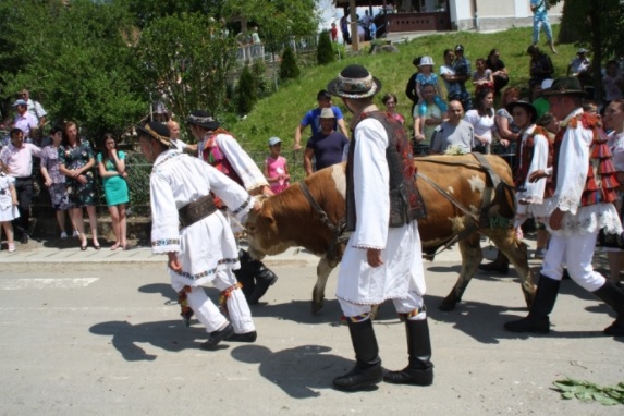Fetele din Figa nu rămân nemăritate nici anul acesta. Tradiția, respectată cu sfințenie de sute de ani în județul Bistrița-Năsăud