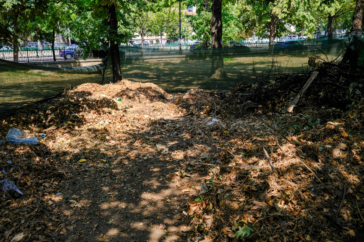 Concesionarea Parcului Izvor, între „festivalizarea orașului” și „nu-l distrugem, îl facem mai frumos”
