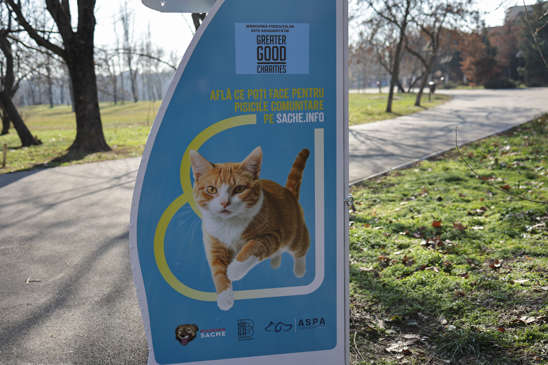 Donezi o sticlă de plastic și hrănești gratuit pisicile din parcul Tineretului din București. A fost montat primul dispozitiv inteligent pentru animăluțe