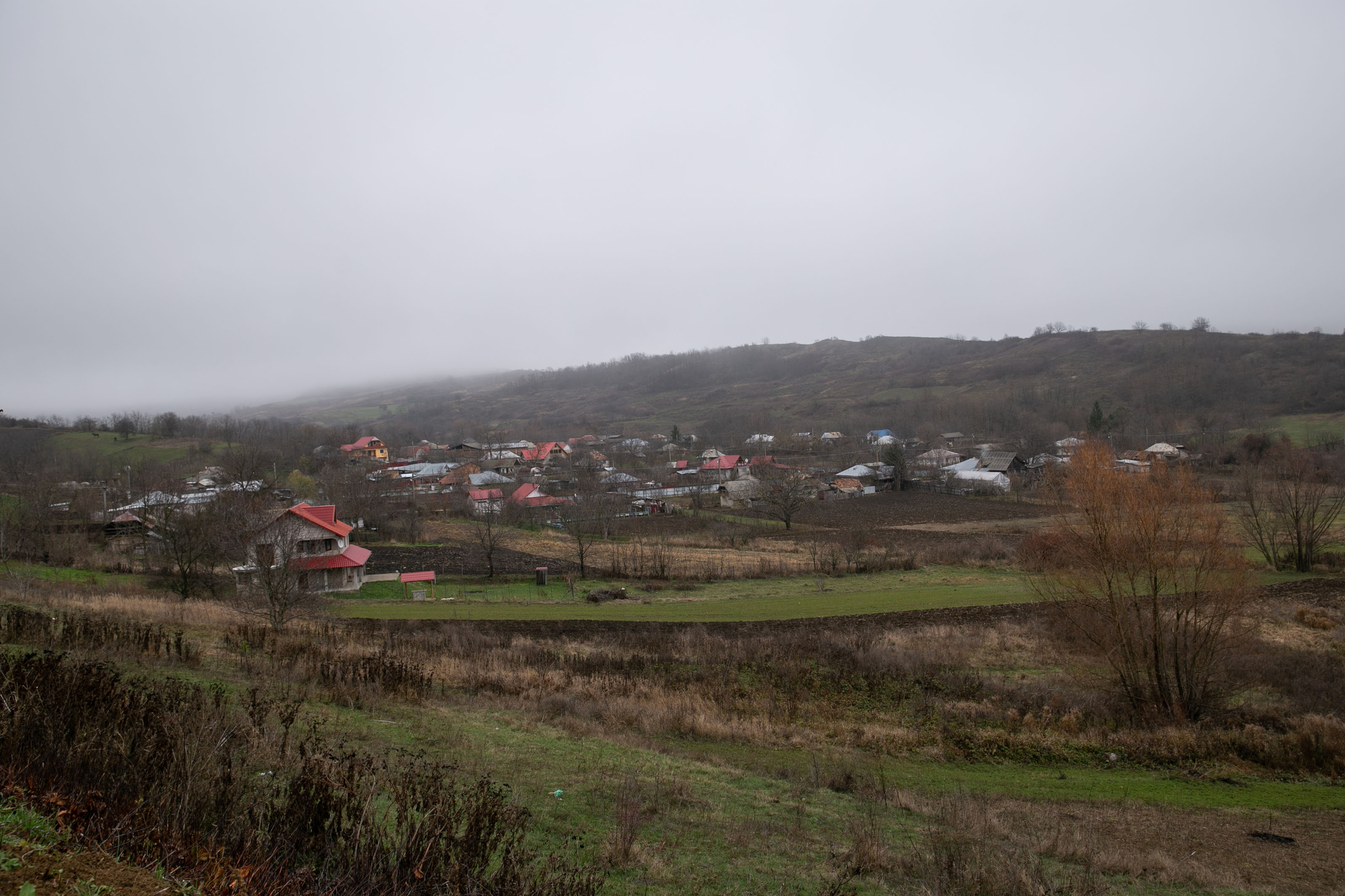 Povestea din spatele fotografiei cu copiii duși cu căruța la școală: puștii stau fără părinți, școala nu-i ajută cu microbuzul, iar unchiul se descurcă cum poate