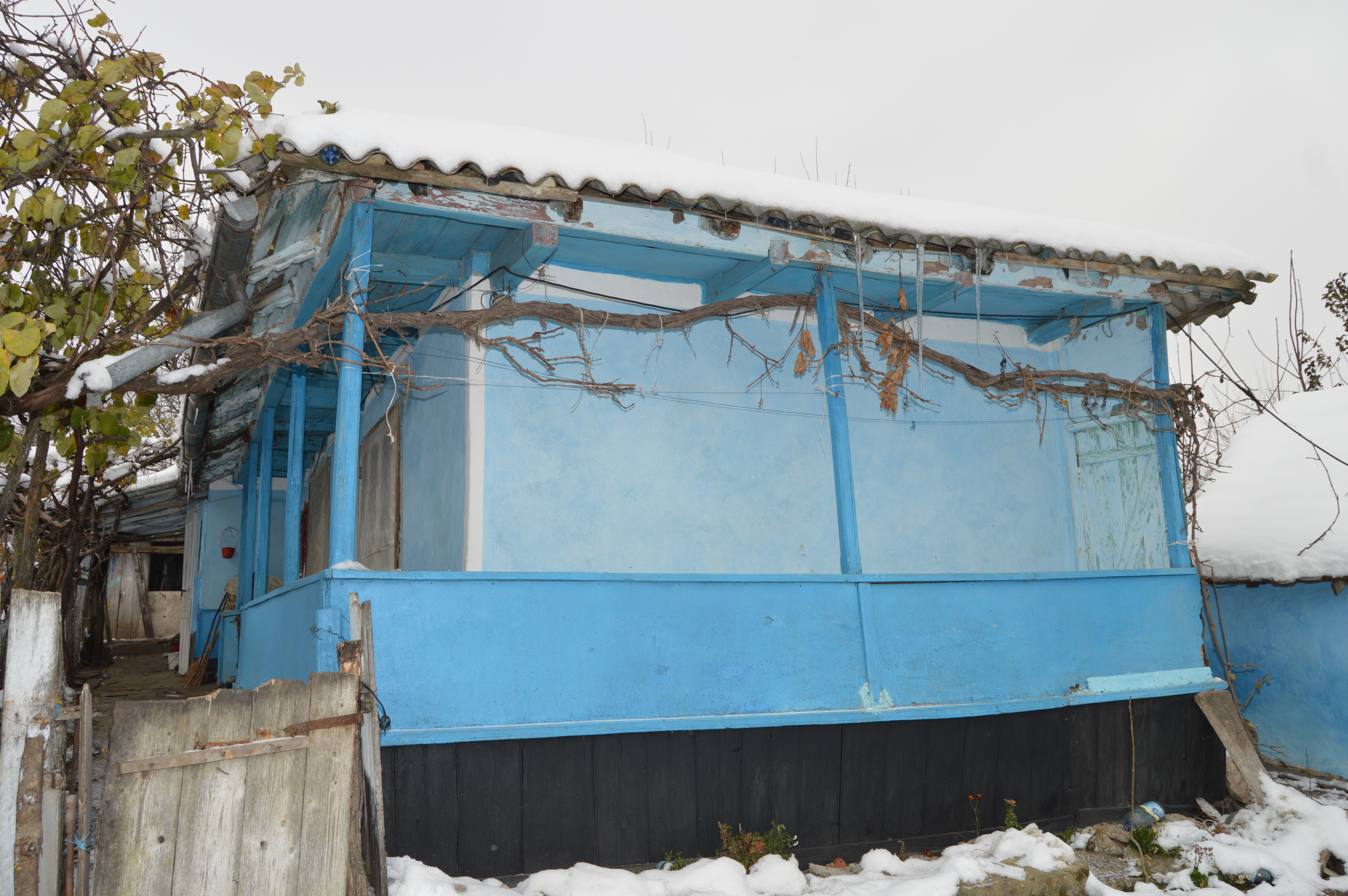 GALERIE FOTO/ Profira Baciu sărbătorește Ziua Națională cu urechea lipită de radio și are un mesaj pentru guvernanți: "Să ne aducă acasă  copiii din străinătate"