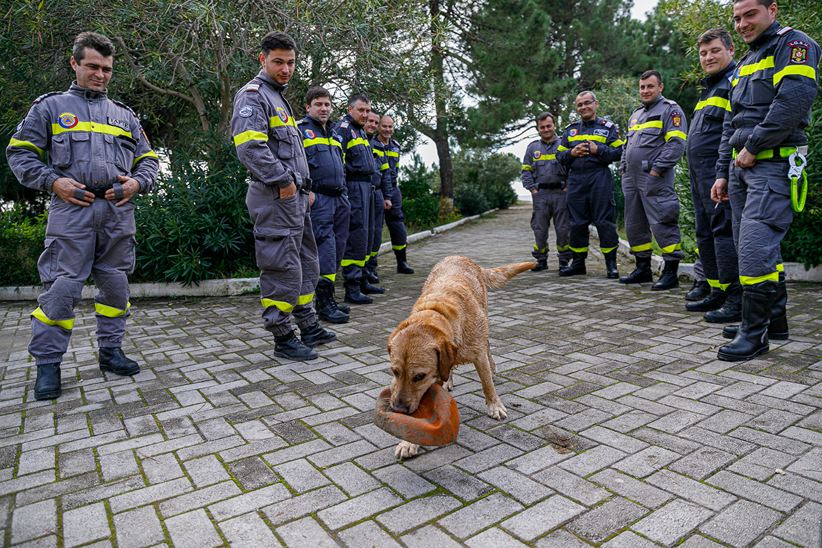 Oameni și câini au muncit împreună în iadul din Albania. Challapa, maidaneza salvată care a devenit salvatoare