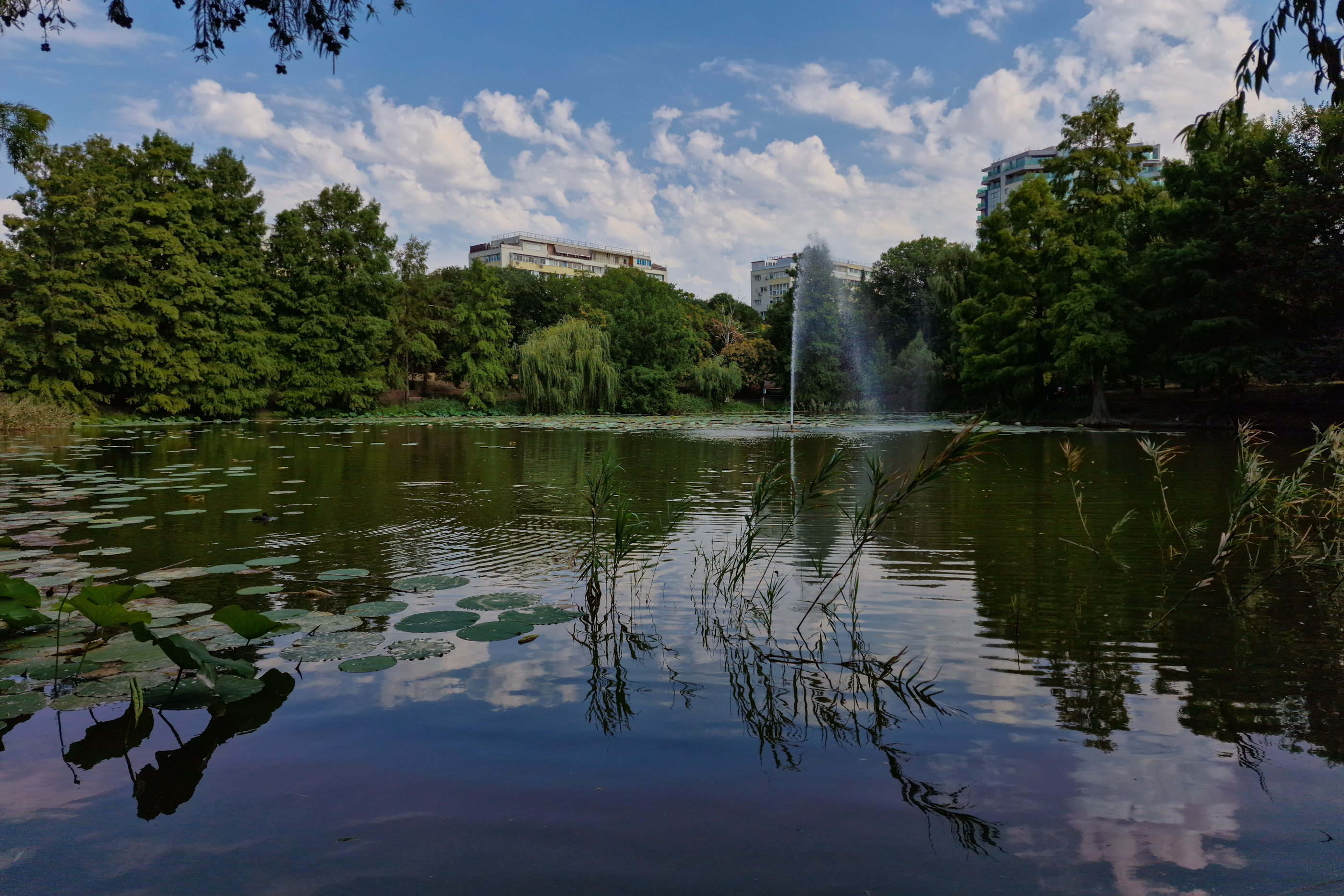 FOTO. În Parcul Circului din București, toată iarba e pârjolită. Rezistă, în schimb, gunoaiele