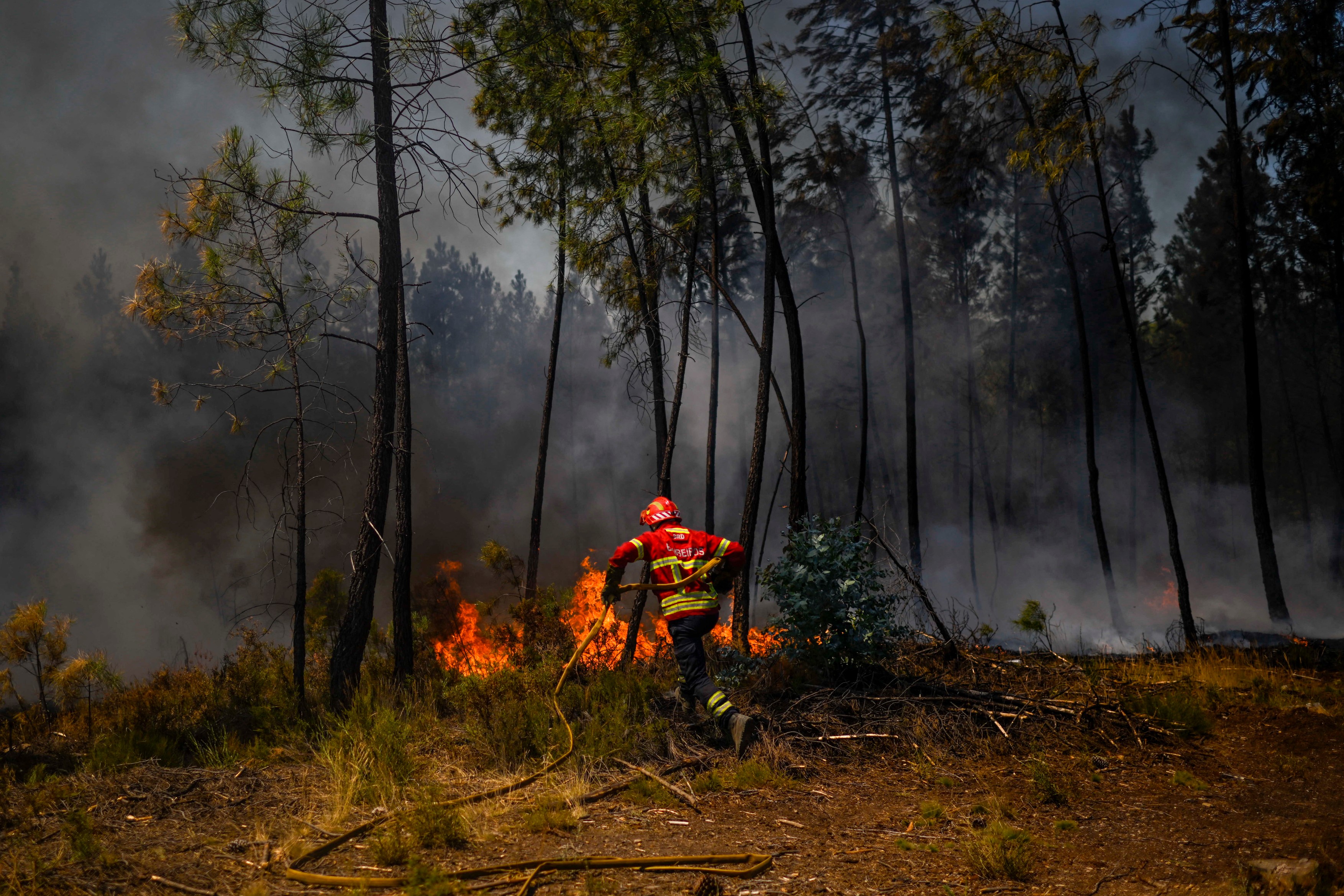 Incendii masive de vegetație în Portugalia, în mijlocul unui nou val de caniculă. Peste 1.400 de oameni au fost evacuați