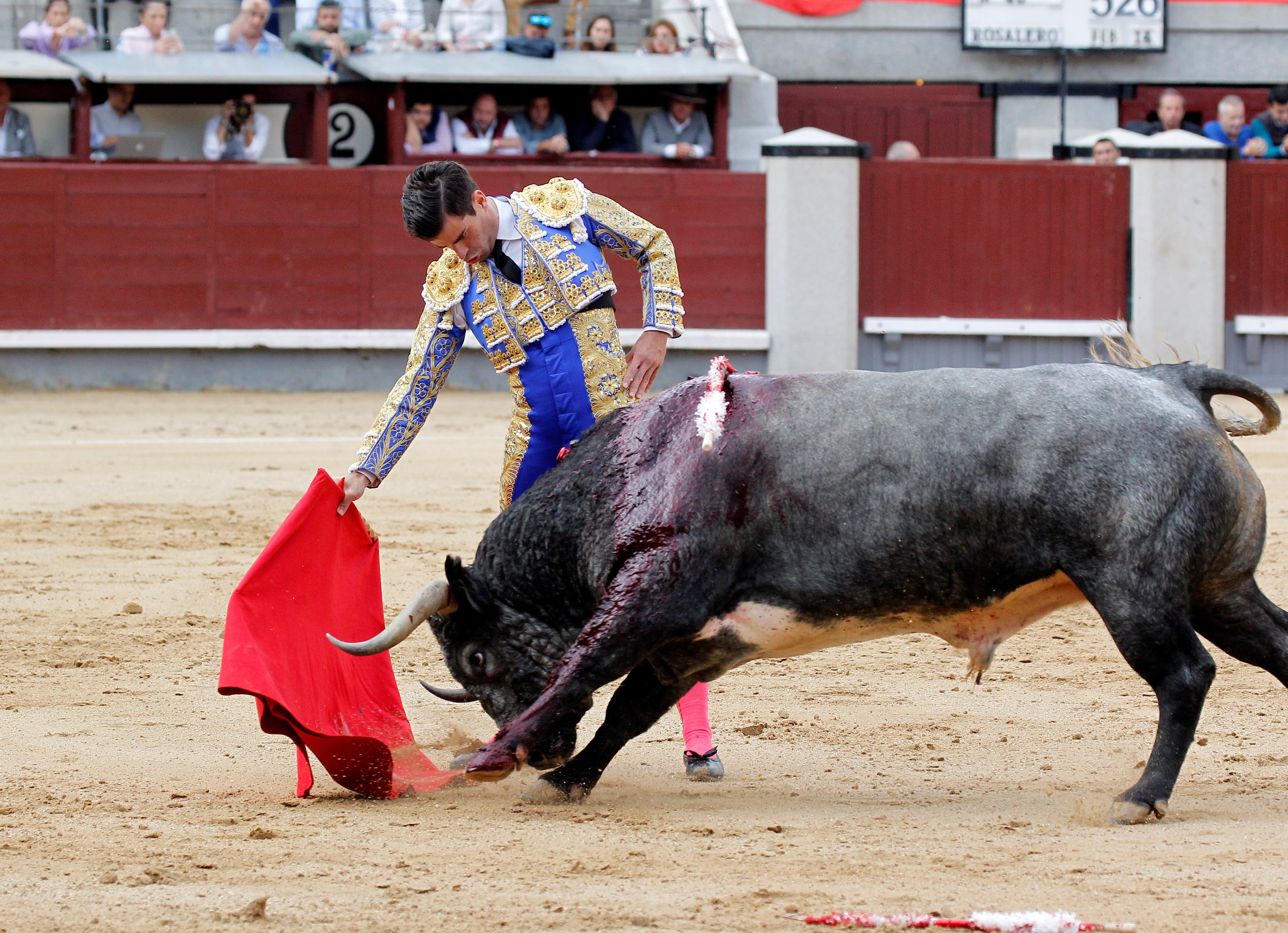 FOTO | Momentul șocant în care un matador este împuns de un taur furios. Omul a fost rănit grav
