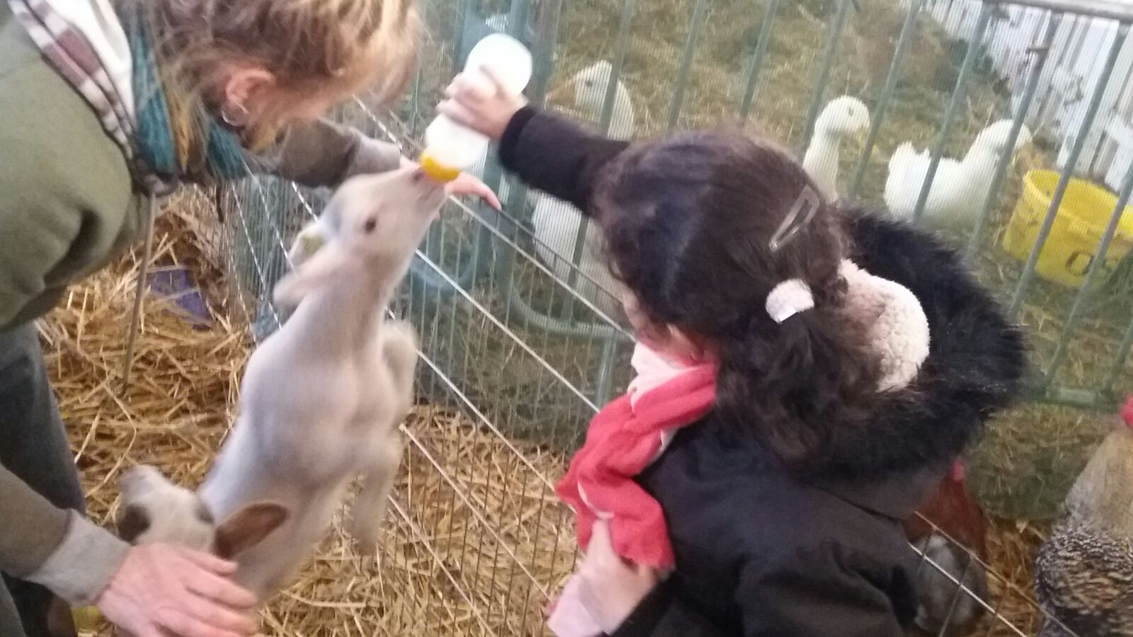 FOTO/Târgul de Crăciun din Saint-Denis - Paris are puțin din farmecul românesc. Un artizan francez imprimă haine cu imagini din București