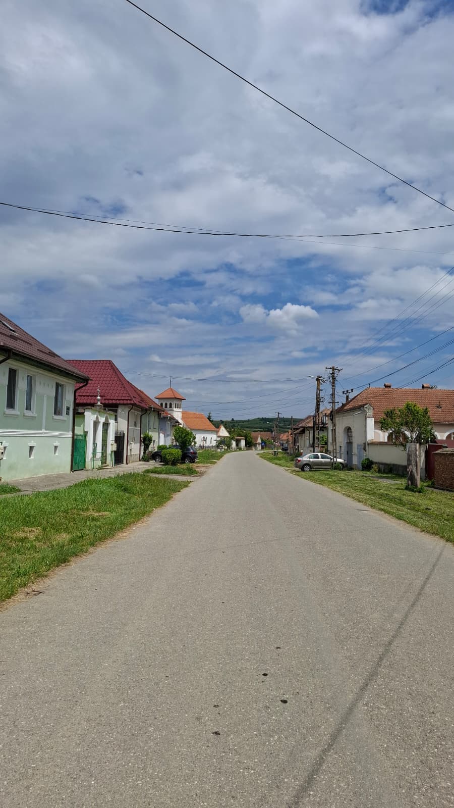 Pictorul Ștefan Câlția: Nicolae Ceaușescu a fost un criminal, le-a făcut românilor o „teribilă operație"
