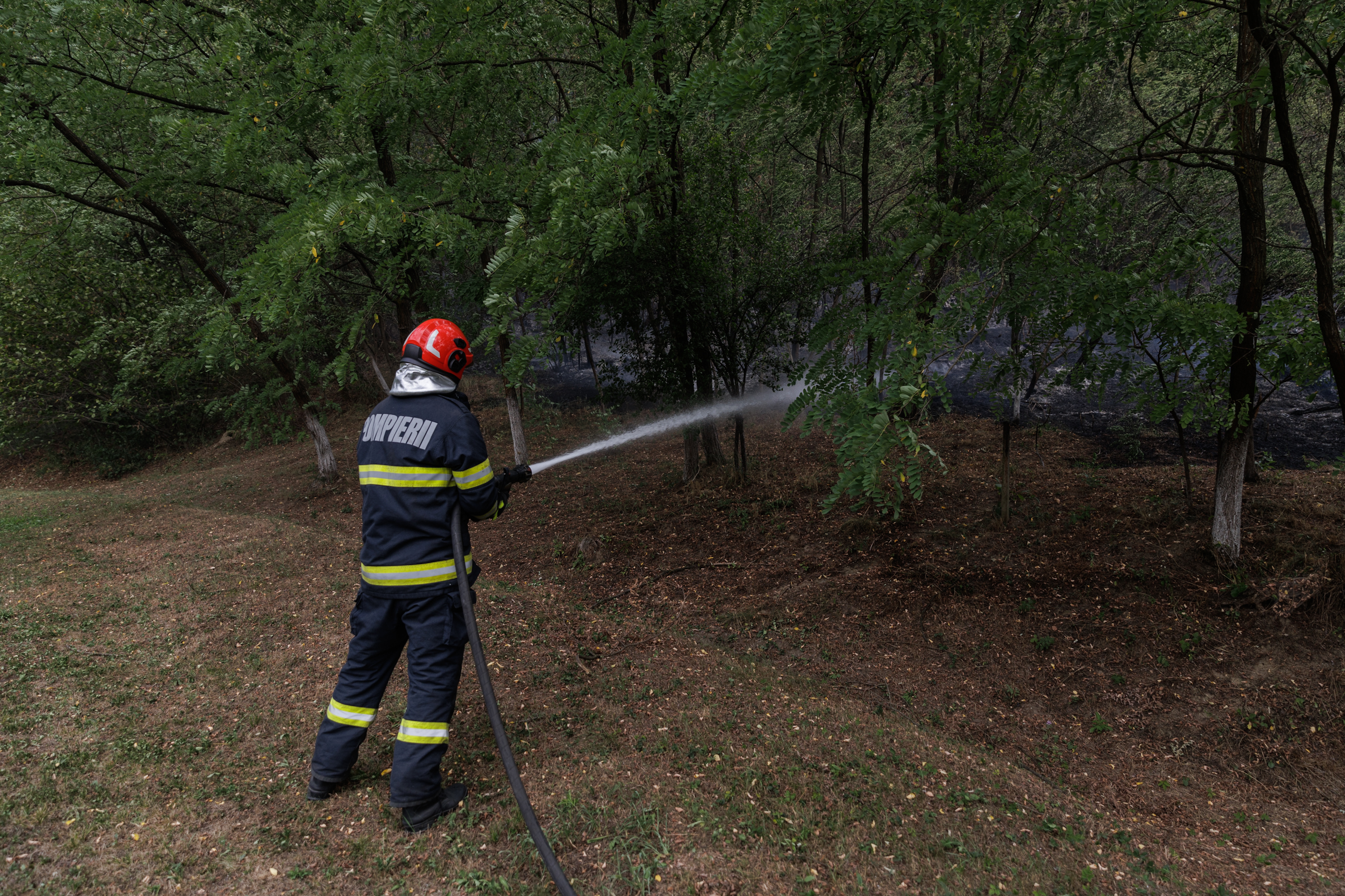 FOTOREPORTAJ Incendiu de vegetație la Drăganu, Argeș. Alături de pompieri, localnicii au sărit să ajute și ei, cu furtunuri, găleți și lopeți, în lupta cu focul care amenința casele