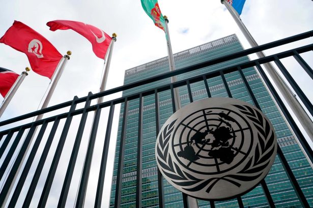UN says Africa should borrow and boost revenue to capture AI opportunity