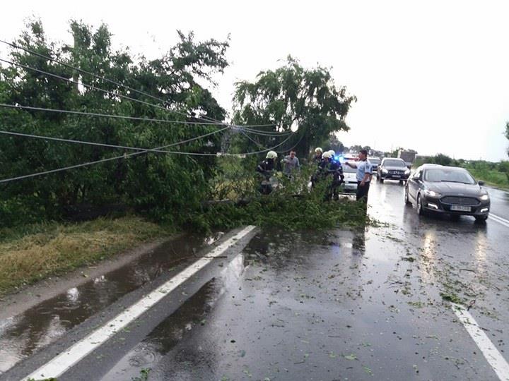 Minivacanța de Rusalii aduce probleme în trafic. Coloane de mașini pe DN1, aglomerație în Vama Giurgiu