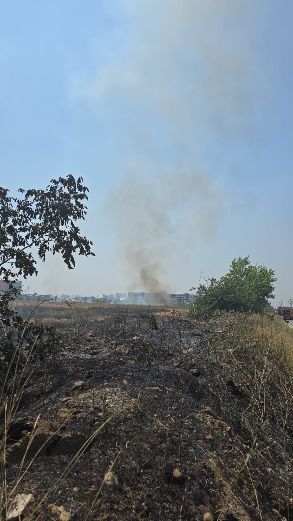 Incendiu în Chiajna. Au ars aproximativ 50.000 mp de vegetație uscată