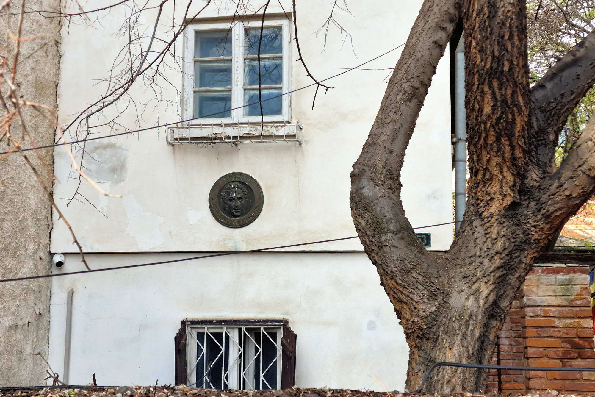 FOTO. Casa din București a unui mare scriitor și critic așteaptă de 15 ani să fie restaurată și redeschisă