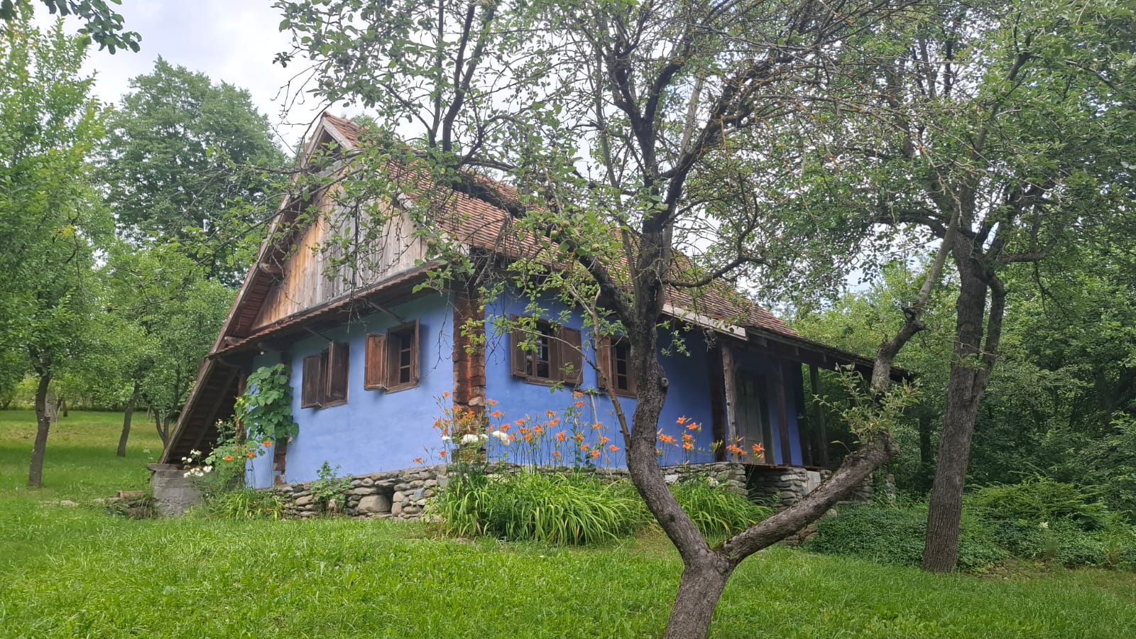 Pictorul Ștefan Câlția: Nicolae Ceaușescu a fost un criminal, le-a făcut românilor o „teribilă operație"