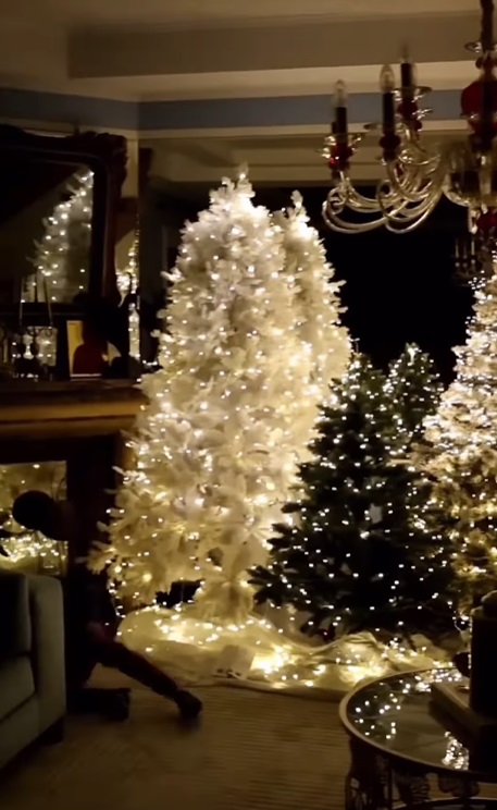 Imagini din sufrageria Annei Lesko, decorată de Crăciun. Are cinci brazi în living, pe care nu i-a împodobit cu globuri
