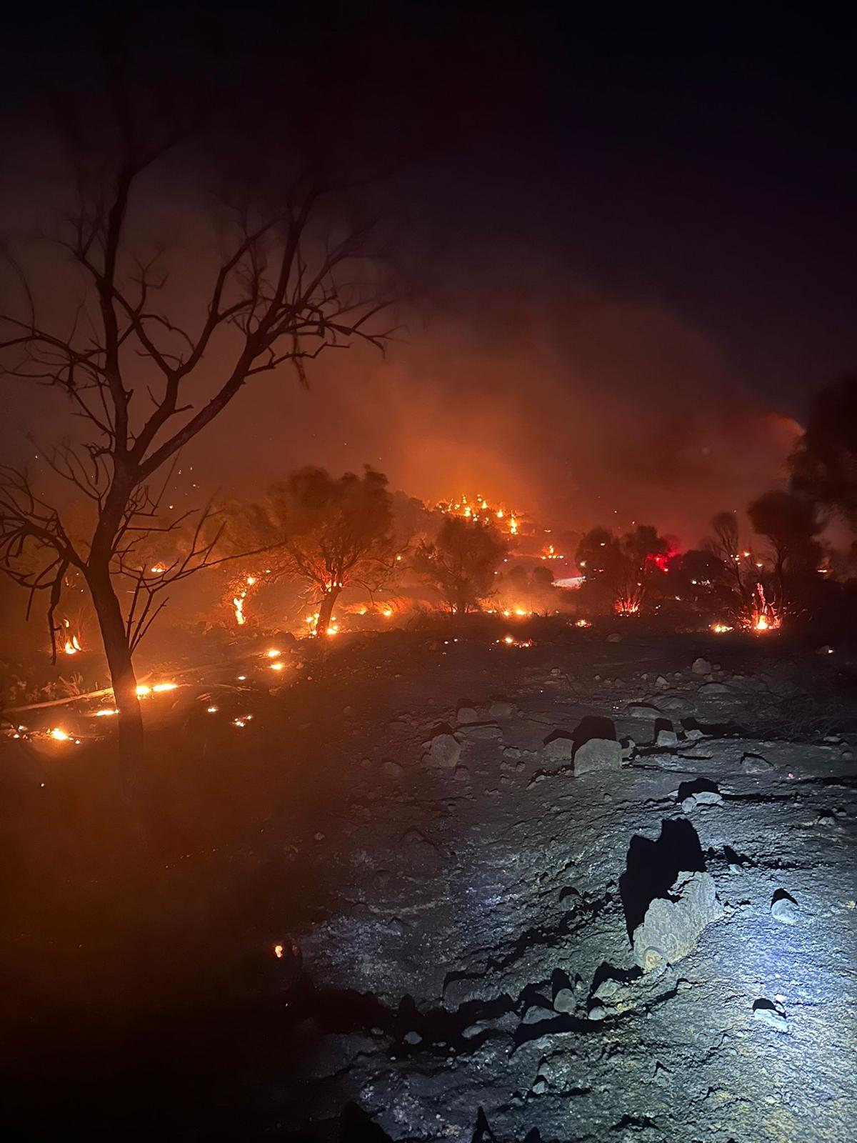 Un nou incendiu violent într-o regiune populară din Grecia. Intervin zeci de pompieri români și cehi