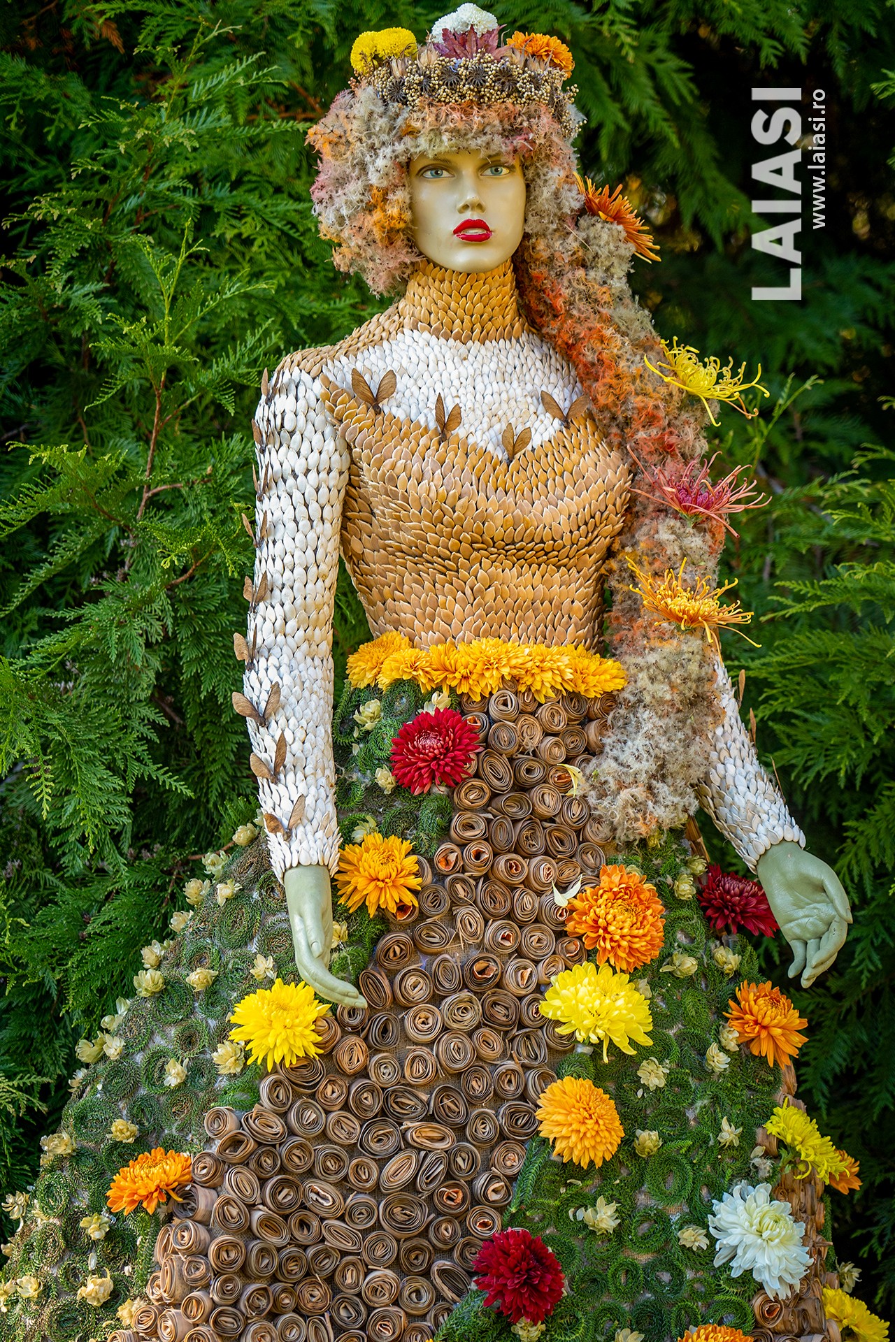 Cea mai așteptată expoziție de flori de toamnă s-a deschis în Grădina Botanică din Iași. Zeci de vizitatori au venit să admire explozia de culori