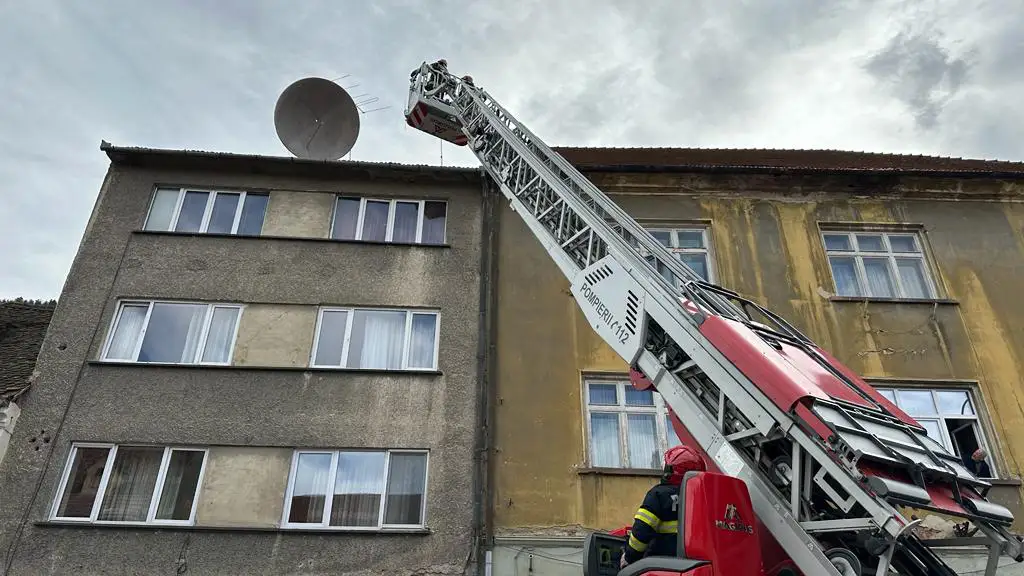 Pagube la Brașov din cauza vântului puternic: copaci doborâți, bucați de acoperiş desprinse de pe clădiri. FOTO