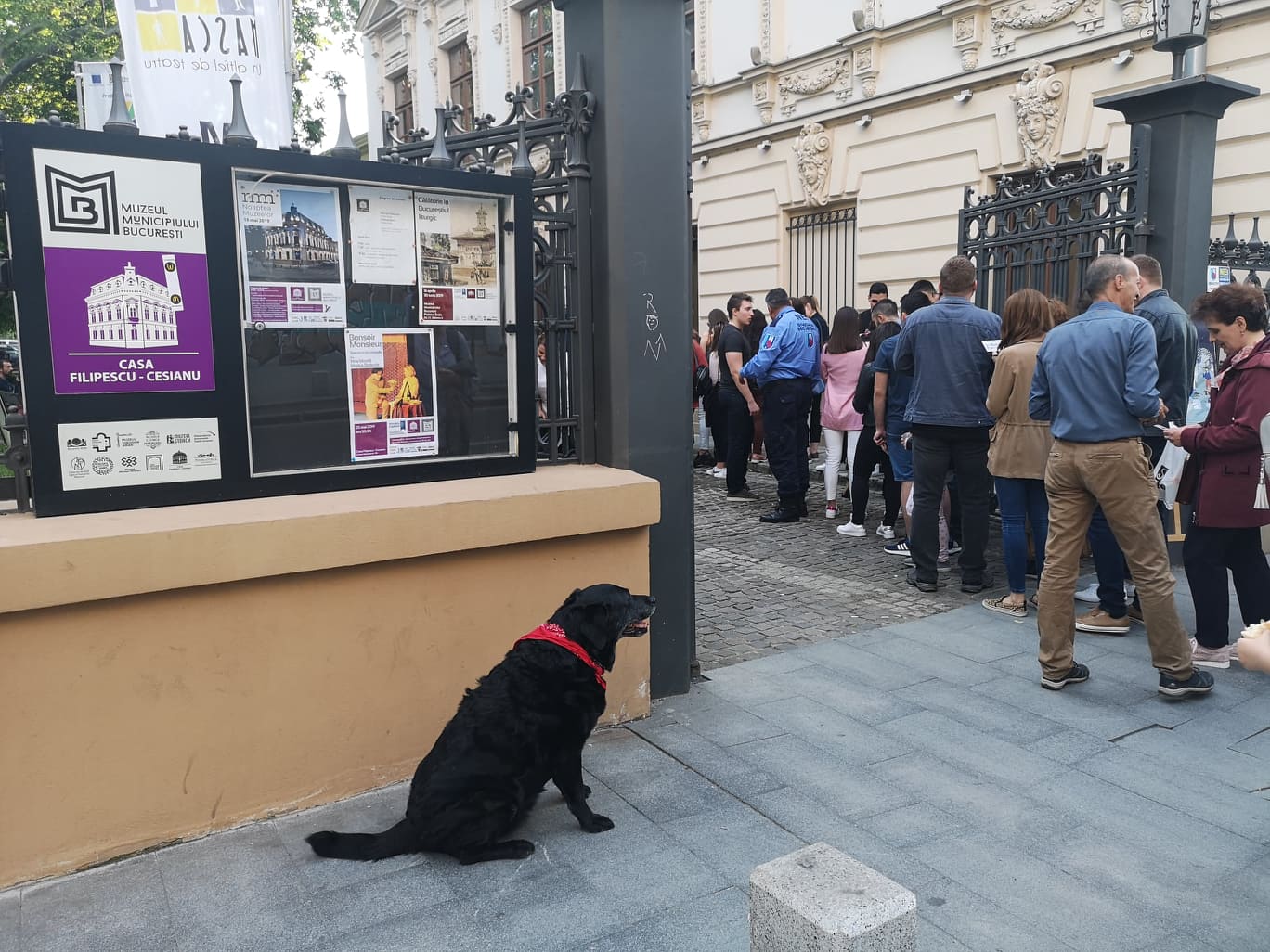 FOTO | Cum a fost la Noaptea Muzeelor 2019: Bucureștenii au ieșit din case pentru a vizita cele mai importante obiective culturale