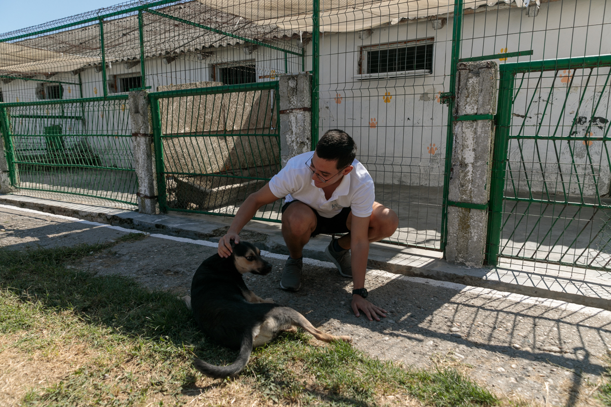 „Îi oferi o viață, iar când crește, îl arunci pe stradă. Ăsta este egoism”. Patru studenți din Turcia au grijă de câinii abandonați din București
