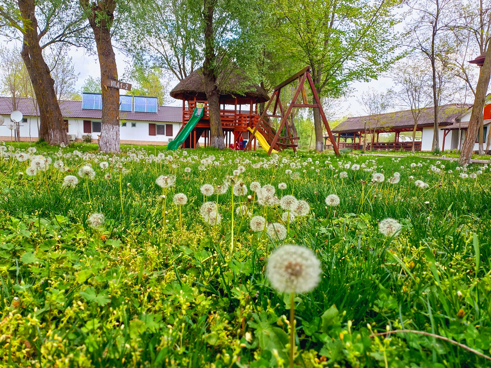 Detalii în premieră despre insula privată cu pensiune și 3 hectare de teren scoasă la vânzare în Delta Dunării. Proprietarul „lasă” 700.000 de euro din prețul inițial