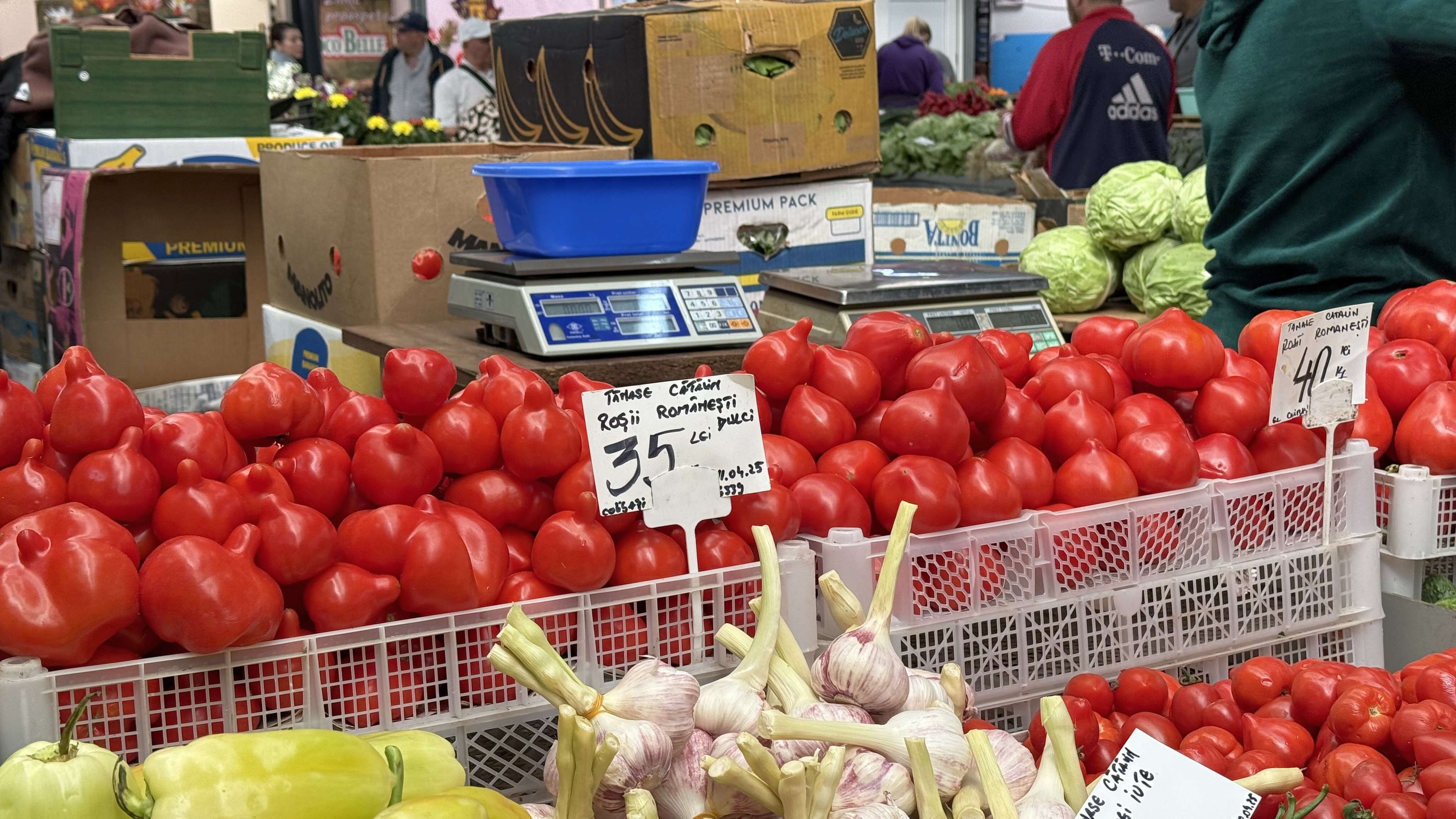 Cât costă roșiile românești în piață? „Cu banii ăștia mănânci carne o săptămână! Mai așteptăm, că vara-i lungă”