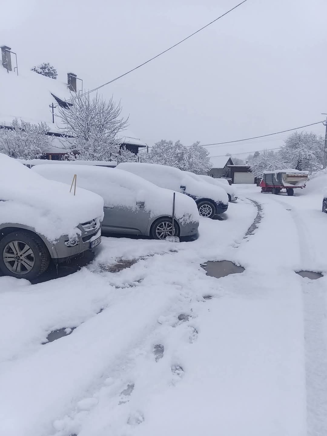 Ninge în mai multe județe din România. Meteorologii dezvăluie care este „singura parte bună” a ninsorilor din aprilie