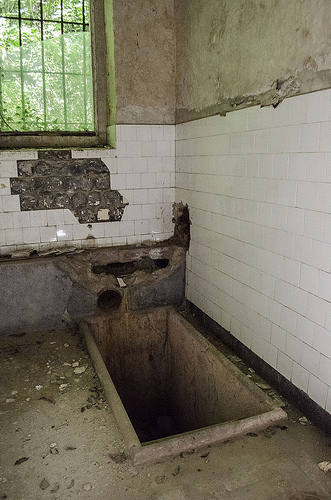 Vor să salveze Băile Neptun din stațiunea Băile Herculane, aflate în paragină. Erau cândva cel mai mare SPA din Europa