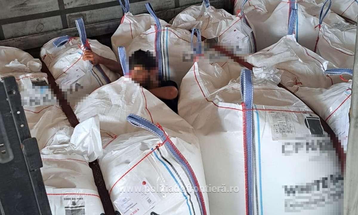 72 de migranți ascunși în TIR-uri, depistați în ultimele 24 de ore, la frontiera cu Ungaria. Erau pitiți printre saci cu fructe și alte bunuri