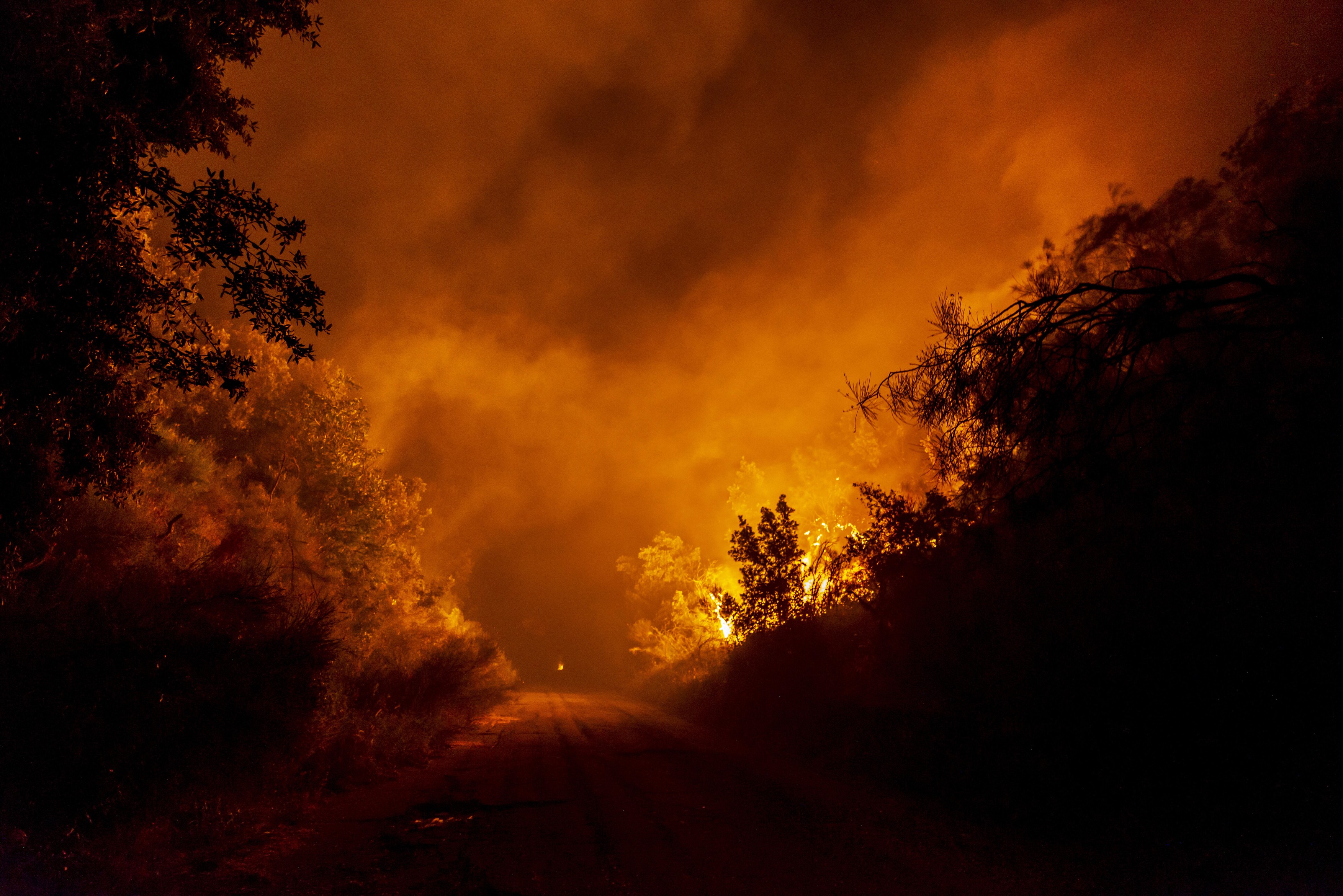 Cursele aeriene din Sicilia, perturbate din cauza incendiilor. Anunțul MAE pentru românii care au zboruri programate